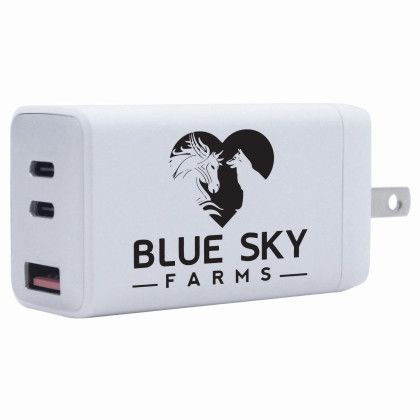 Custom iPort Plus 65W Wall Charger - White 