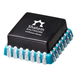 Custom Microchip Stress Reliever - Black 