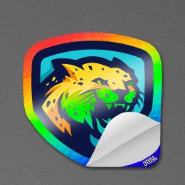 Custom 2" x 2" Vinyl Die Cut Holographic Sticker with pull tab 6 mil