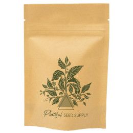 Custom One Color Stand Up Kraft Barrier Pouch - 4" x 6" x 2"