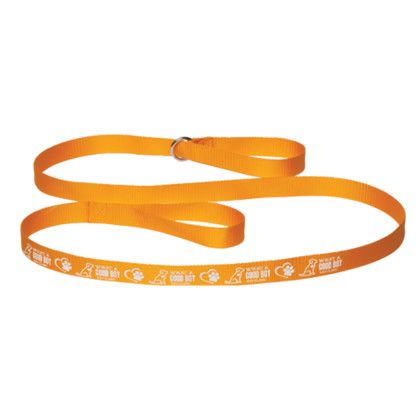 Custom 6' Pet Slip Leads - Gold 