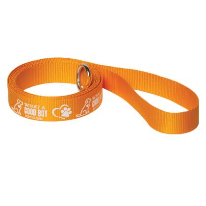 Custom 6' Pet Slip Leads - Gold Side View 