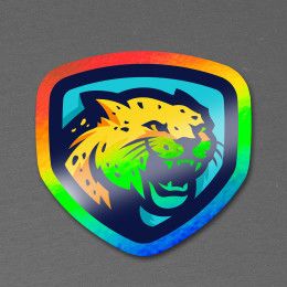 Custom 2" x 2" Vinyl Die Cut Holographic Sticker 6 mil