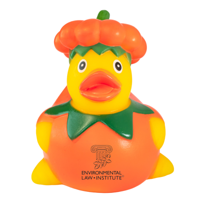 Custom Pumpkin Rubber Duck
