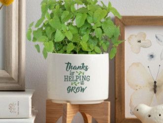 Employee Appreciation