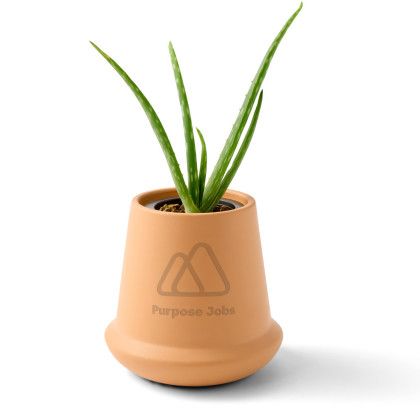 Custom Modern Sprout Hydroponic Terracotta Grow Kit Aloe - Terracotta In Use