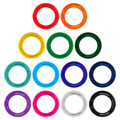 Custom Disc-Y Business Ring Flyer - All Color Custom Disc-Y Business Ring Flyer - All Color