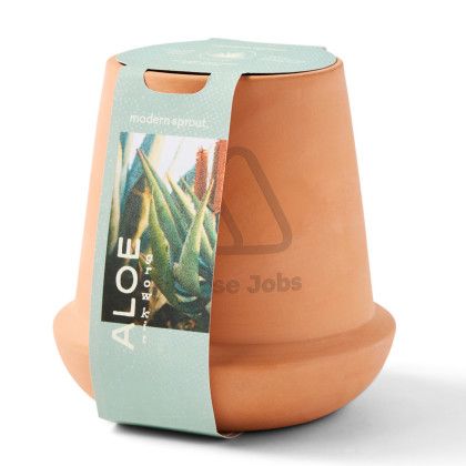 Custom Modern Sprout Modern Terracotta Grow Kit Aloe - Terracotta Packaging View