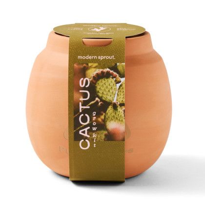 Custom Modern Sprout Modern Terracotta Grow Kit Cactus - Terracotta Packaging View Custom Modern Sprout Modern Terracotta Grow Kit Cactus - Terracotta Packaging View