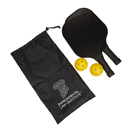 Custom Premium Pickleball Paddle and Ball Set 