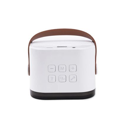 Custom PartyWave Portable Karaoke System - Back View Custom PartyWave Portable Karaoke System - Back View