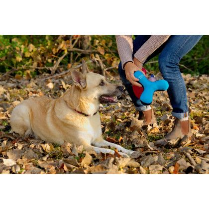 Custom Toss-N-Float Dog Toy - Blue Lifestyle View 