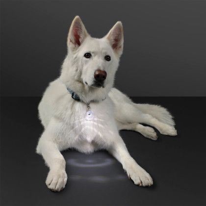 Custom Light Projecting Pet Light and LED Keychain - White Lifestyle View 