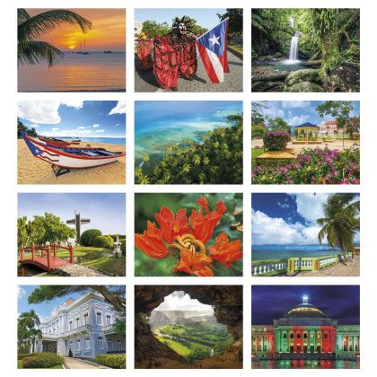 Custom Economy Appointment Calendar - Puerto Rico - Month view