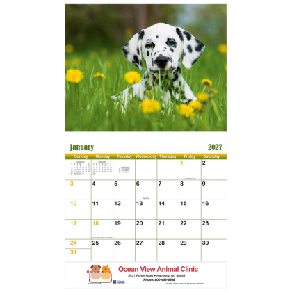 Puppies & Kittens Wall Calendar - Stapled Inside