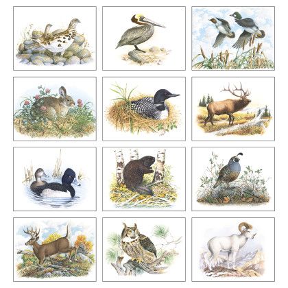 Custom Economy Appointment Calendar - Wildlife Trek - Month view