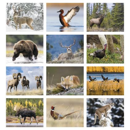 Custom Triumph® Premium Appointment Calendar - Regional Sportsman: Southcentral - Month view