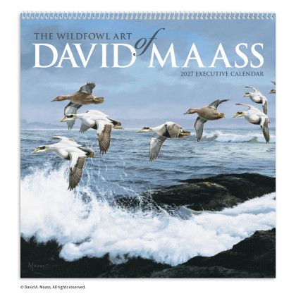 Custom David Maass Executive Calendar - Spiral Front view