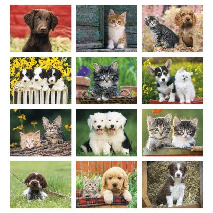 Custom Puppies & Kittens - Window Calendar - Month view
