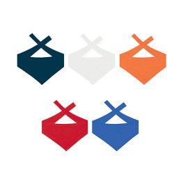 Custom 6" Brave Bull - Bandana