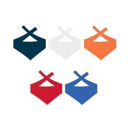 Custom 6" Patriotic Bear - Bandana - All Colors 