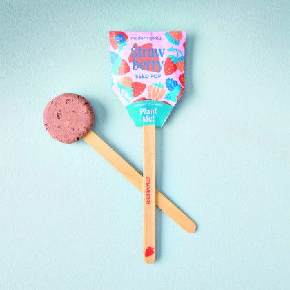 Custom Modern Sprout Garden Seed Pop - Strawberry lifestyle