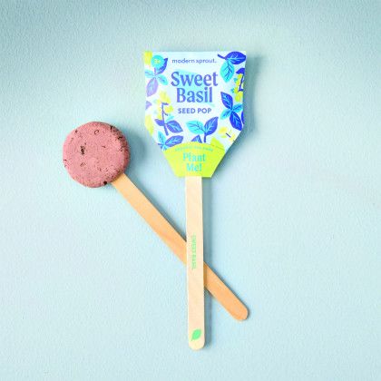 Custom Modern Sprout Garden Seed Pop - Sweet Basil lifestyle
