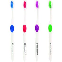 Custom Winter Accent Toothbrush - All Colors 