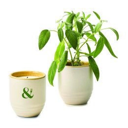 Custom Modern Sprout Garden Vibes Candle/Planter - Golden Moments/Sage Custom Modern Sprout Garden Vibes Candle/Planter - Golden Moments/Sage