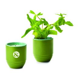 Custom Modern Sprout Garden Vibes Candle/Planter - In The Weeds/Mint Custom Modern Sprout Garden Vibes Candle/Planter - In The Weeds/Mint