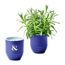 Custom Modern Sprout Garden Vibes Candle/Planter - Violet Hour/Lavender Custom Modern Sprout Garden Vibes Candle/Planter - Violet Hour/Lavender