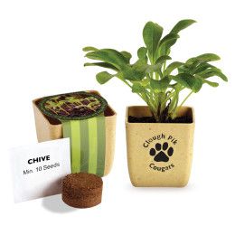 Custom Flower Pot Set With Chive Seeds Custom Flower Pot Set With Chive Seeds