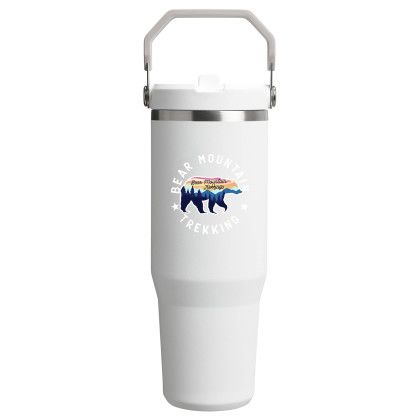 Custom Stanley IceFlow 2.0 Flip Straw Tumbler 30oz - Frost 