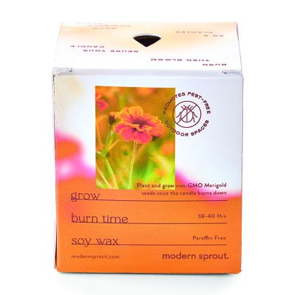 Custom Modern Sprout Garden Vibes Candle/Planter - Last Light/Marigold packaging Custom Modern Sprout Garden Vibes Candle/Planter - Last Light/Marigold packaging