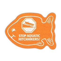 Custom Fish Shammy Coaster 