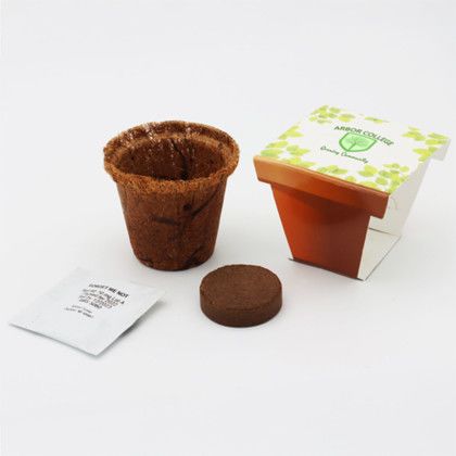 Custom CoCo Planter Kit - Brown Custom CoCo Planter Kit - Brown
