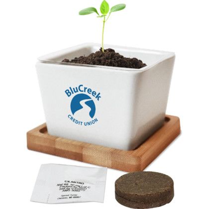 Custom Ceramic Planter - White