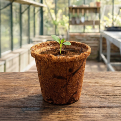 Custom CoCo Planter Kit Custom CoCo Planter Kit