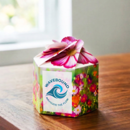Sprout Tyme Pop Up" Seed Starter Kit Sprout Tyme Pop Up" Seed Starter Kit