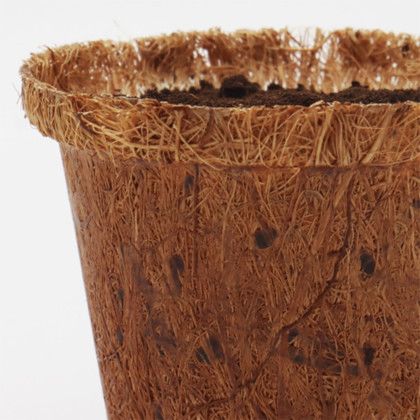 Custom CoCo Planter Kit - Close View