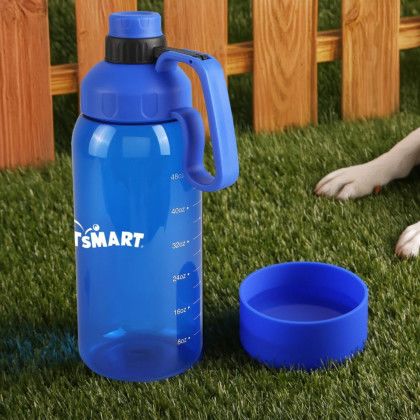 Custom Tritan Bottle with Silicone Pet Bowl - Translucent Blue Lifestyle