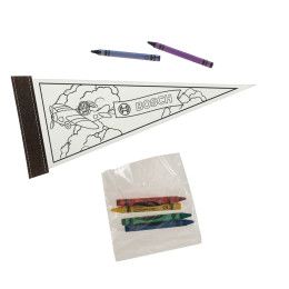 Custom Pennants - 5" x 12" Color Me
