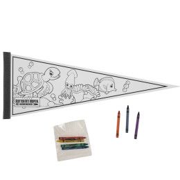 Custom Pennants - 9" x 24" Color Me