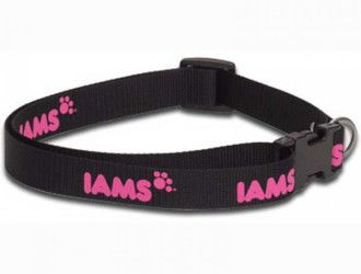 Custom Leashes and Collars