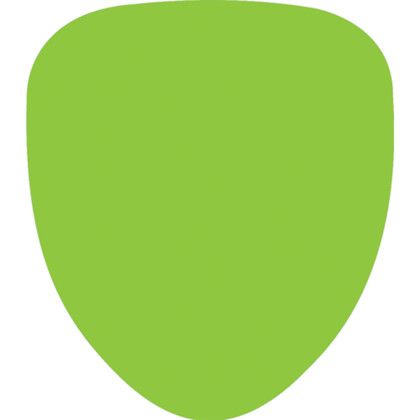Custom Stock Shape Hand Fan - Palm leaf Custom Stock Shape Hand Fan - Palm leaf