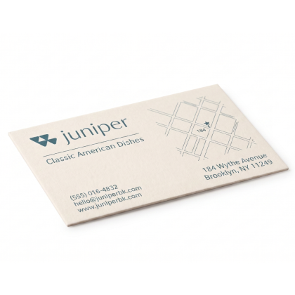 Premium 16PT Matte Business Card - Front Only Design