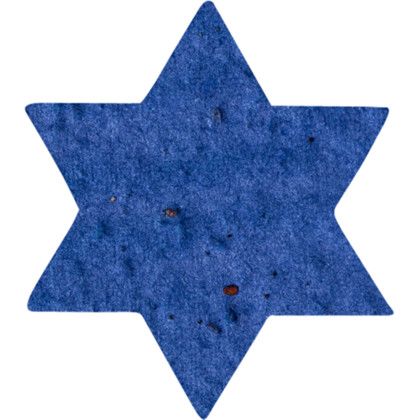 Custom Plantable Pin - Royal blue Star of david