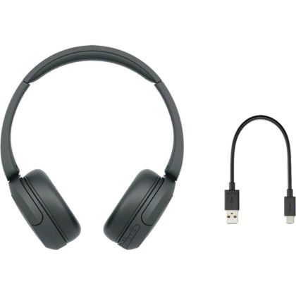 Custom Sony Wireless Headphones With Microphone - With USB Cable Custom Sony Wireless Headphones With Microphone - With USB Cable