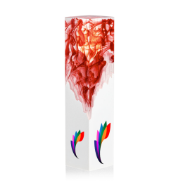 Custom Full Color Award - Brandino White/Red 9.5"