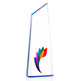 Custom Full Color Award - Hudson/Blue 10" Custom Full Color Award - Hudson/Blue 10"
